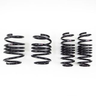 RS-R Down SUS Lowering Springs Honda 2017-2022 Civic Type-R